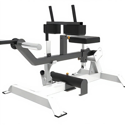 ASN-06 Linear Leg Press
