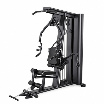 L131 Standalone Single-Station Gym, white background