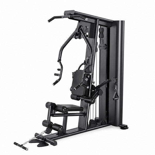 L131 Standalone Single-Station Gym