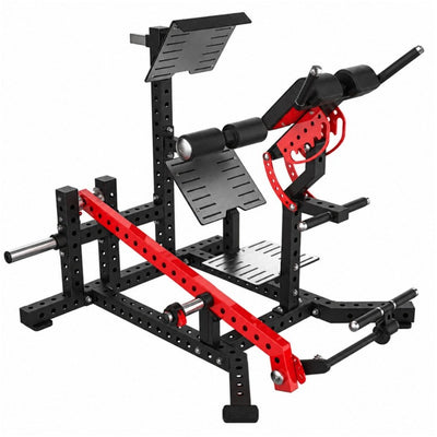 SA-5019 Lower Back and Glutes, white background