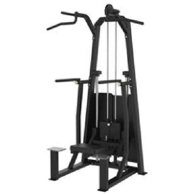 U4009 Dip / Chin Assist, white background