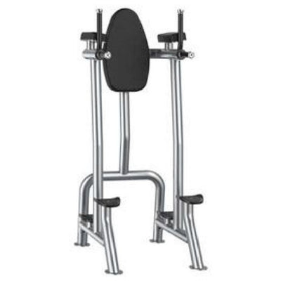 XS-7113 Knee-Raise / Dip Station, white background