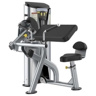 XS-7205 Biceps/triceps, white background