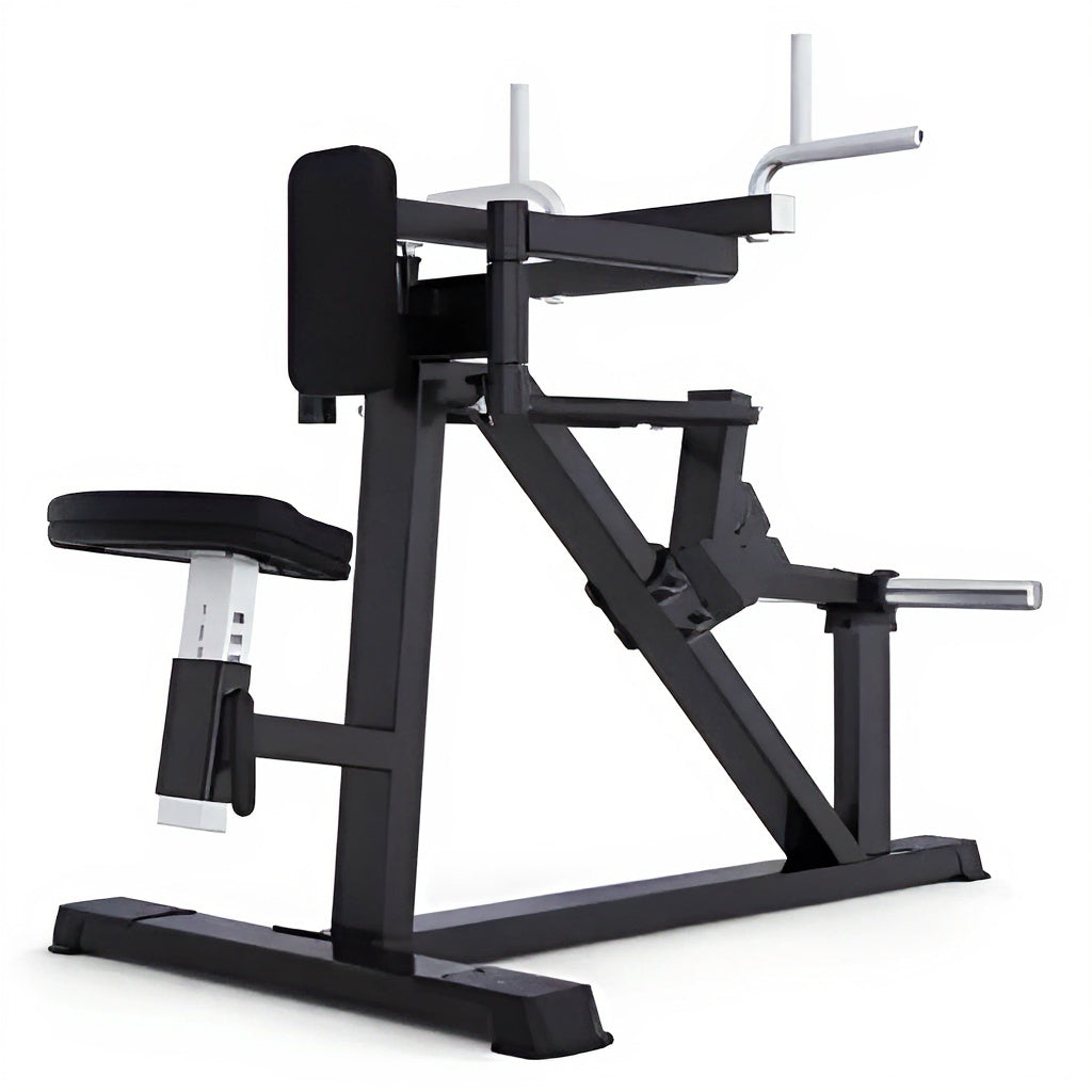 Lateral Row Machine