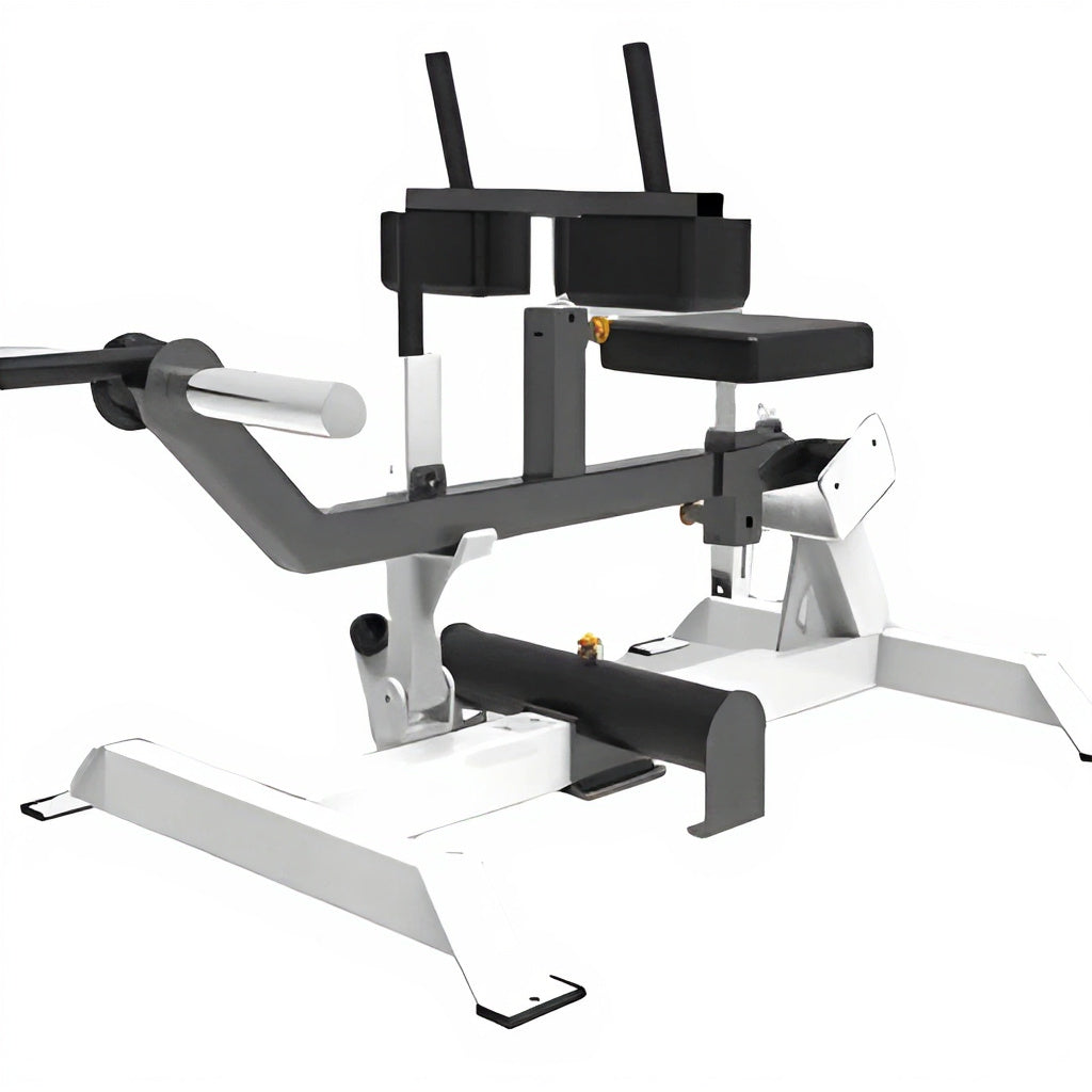 ASN-06 Linear Leg Press