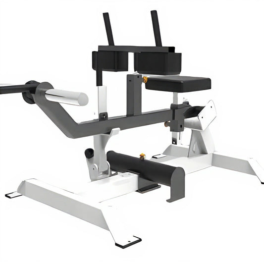 ASN-06 Linear Leg Press