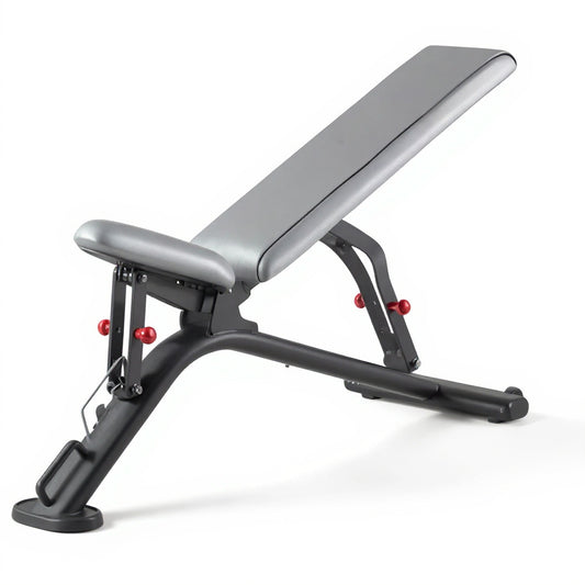 PA-2R122 Fully adjustable bench