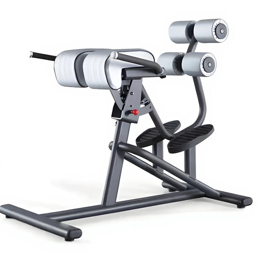 PA-2R109 Adjustable Roman Chair