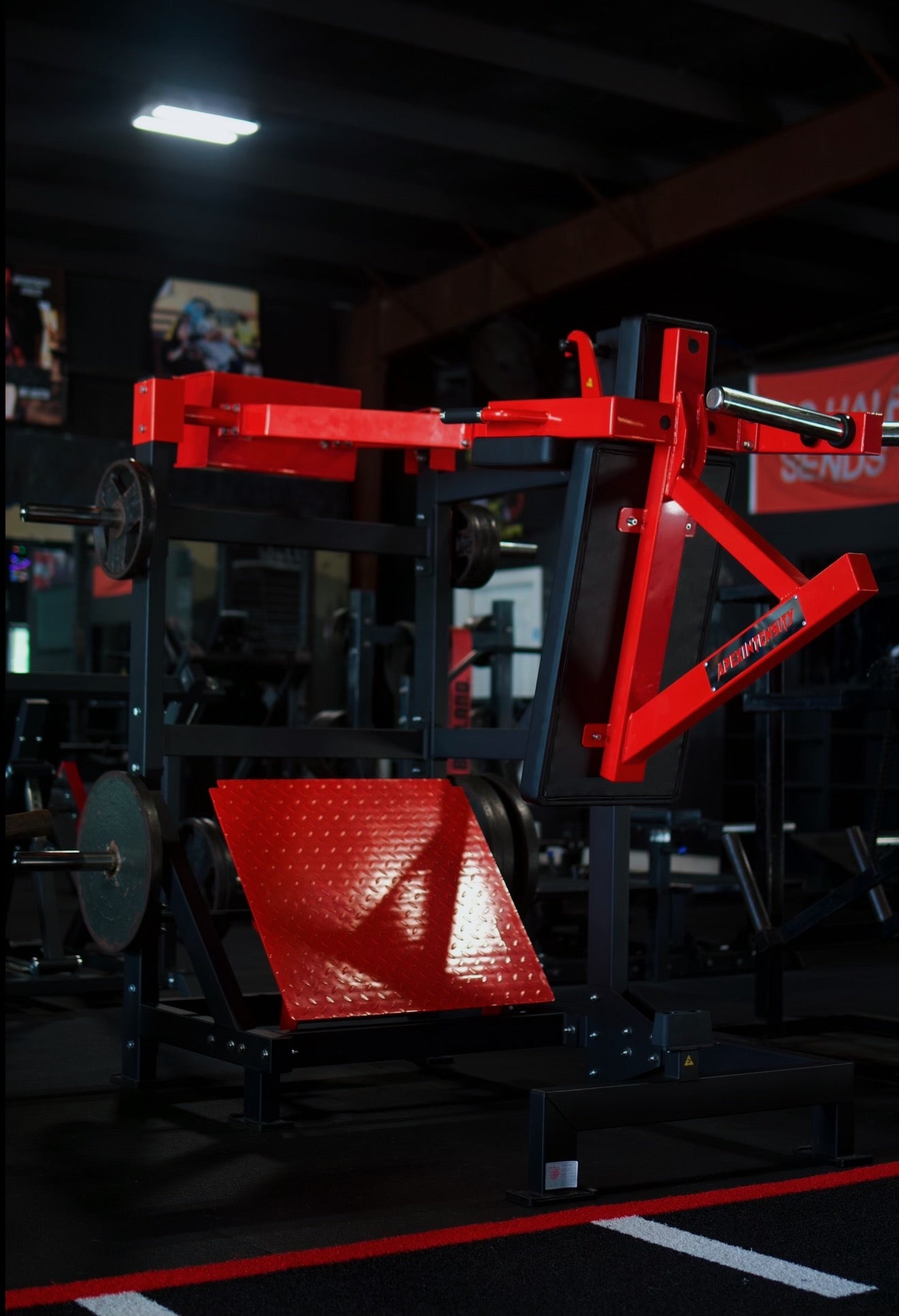 Pendulum Squat Pro