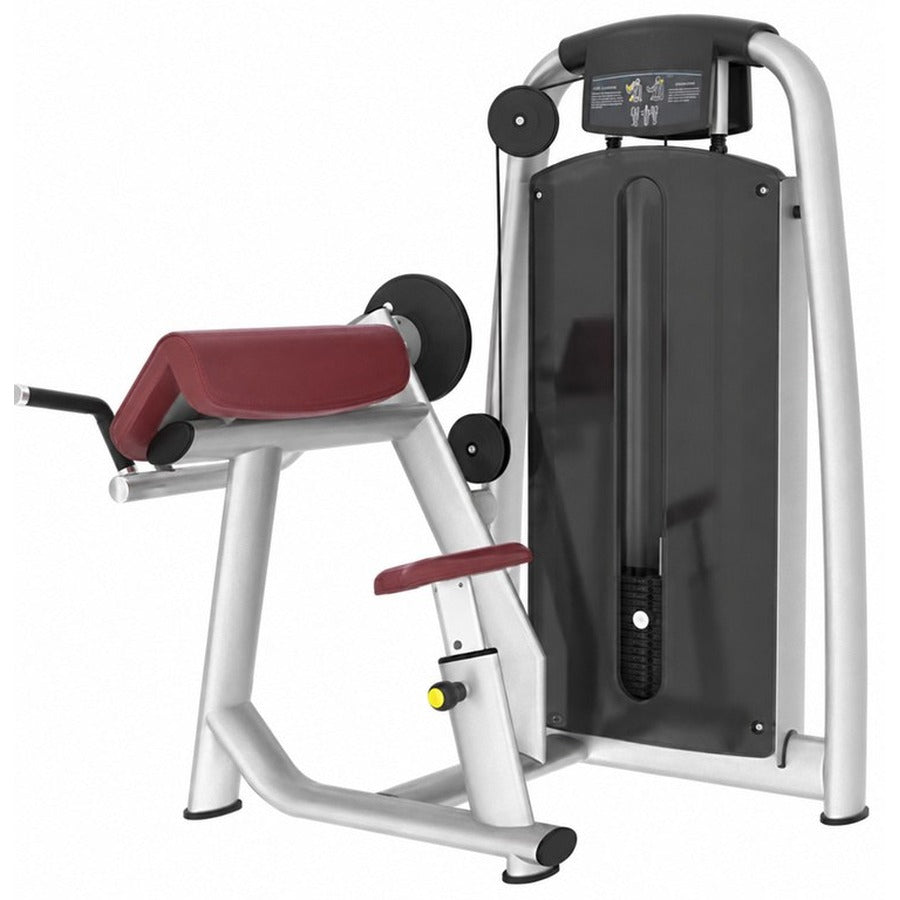 BG-8046 Biceps Machine, white background