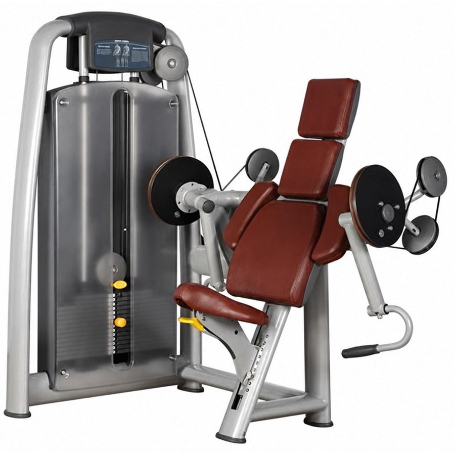 BG-892 Arm Curl, white background