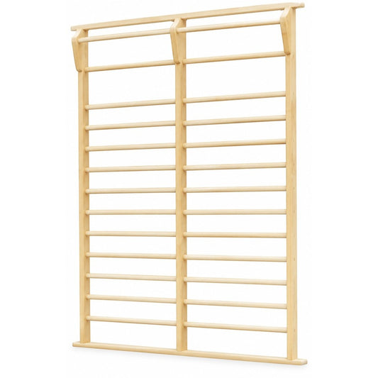 BG-LT008 Wall Bars - Two-Bay Frame, white background