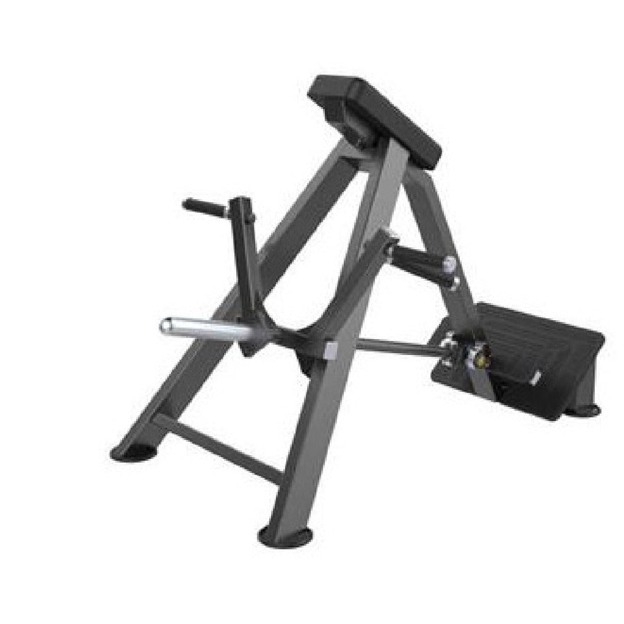 GTA-61 T-Bar Row, white background