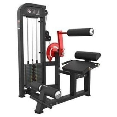 HS-P019 Back Extension, white background