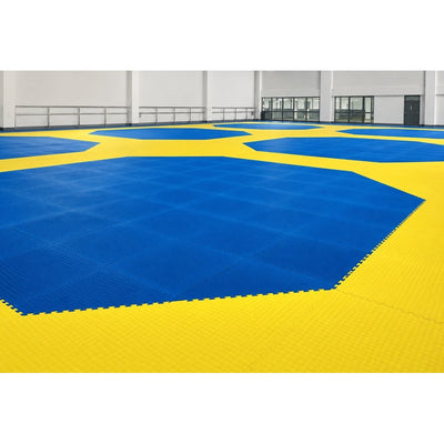 KT731-1 Taekwondo Mats, white background
