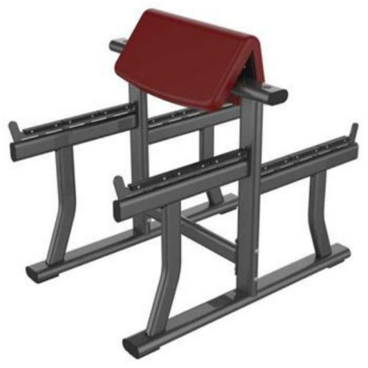 LF-3T146 Bicep Bench, white background