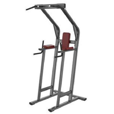 LF-3T149 Pull-Up & Dip Station, white background
