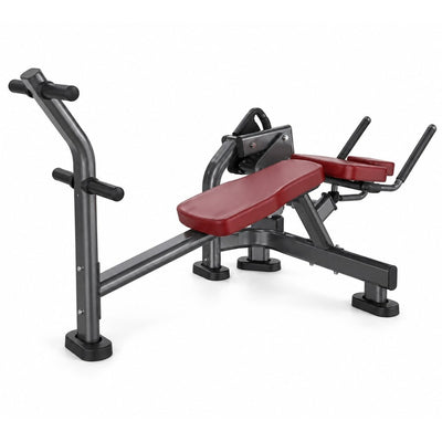 LF-3T166 Abdominal Oblique Crunch, white background