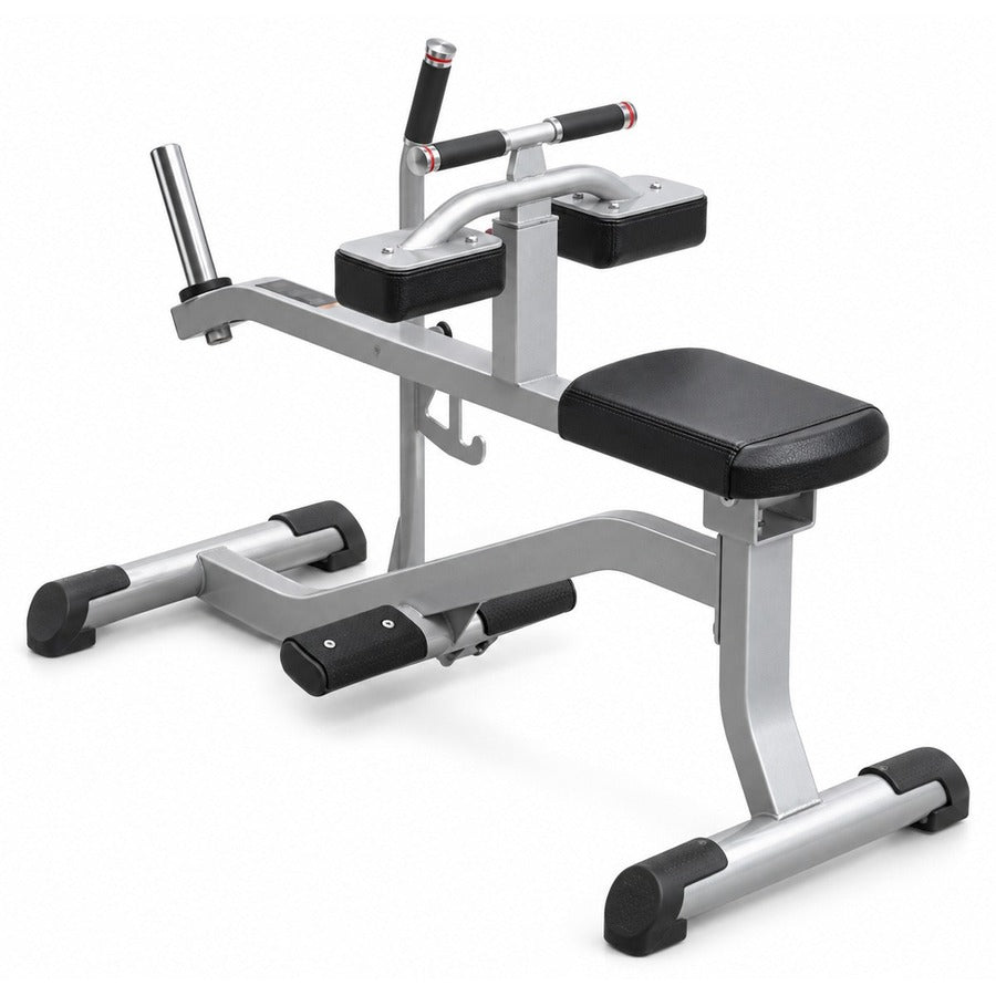 LRS1056 Seated Calf Raise Machine, white background
