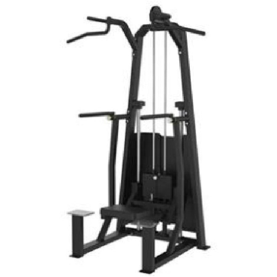 U4009 Dip / Chin Assist, white background