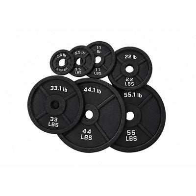 ZED-1116 Steel Weight Plates, white background