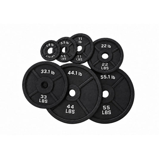 ZED-1116 Steel Weight Plates, white background